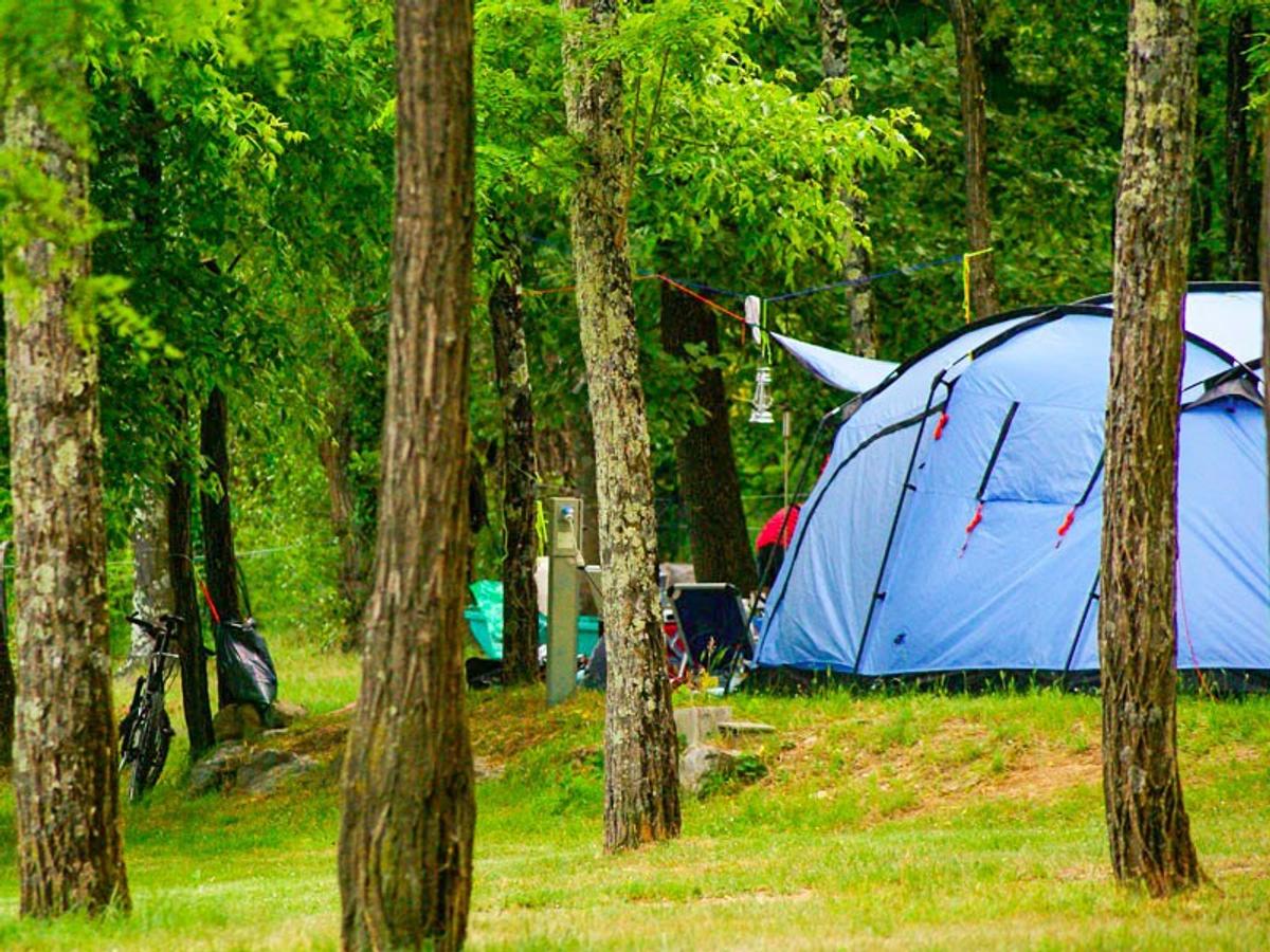 Green Camping: 11 Campsites in Where You Can Camp Sustainably Camping.info - Magazin